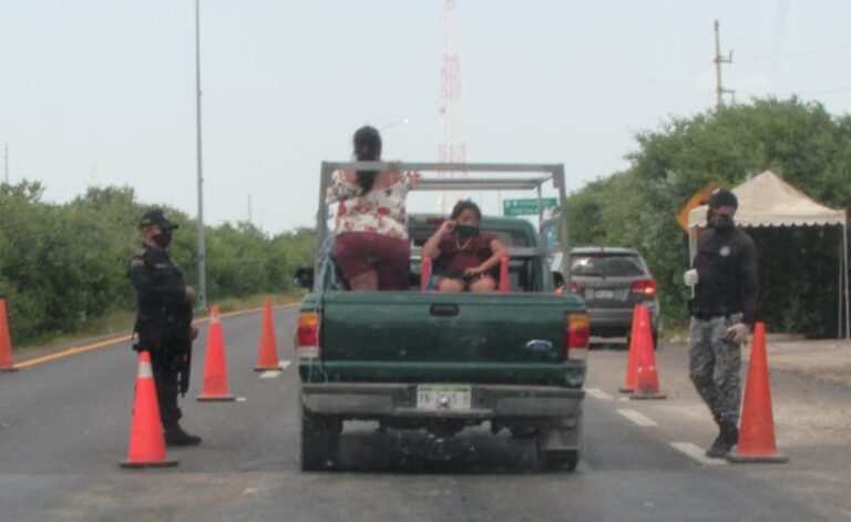 Trasladar el pulpo, un lío