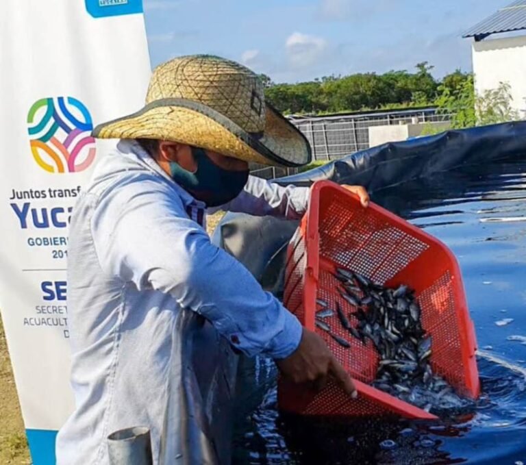 Refuerzan la acuacultura