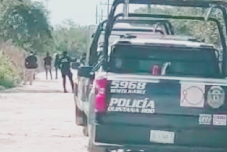 Autoridades realizan operativo de búsqueda de restos humanos en Cancún