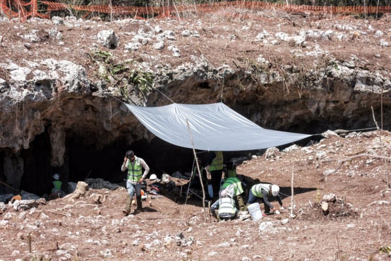 Ambientalistas advierten el peligro de las obras del Tren Maya en la caverna Angry Wasp