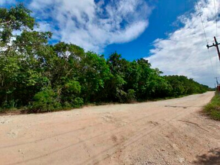 Encuentran cuerpo con signos de violencia en la carretera Tulum-Playa del Carmen