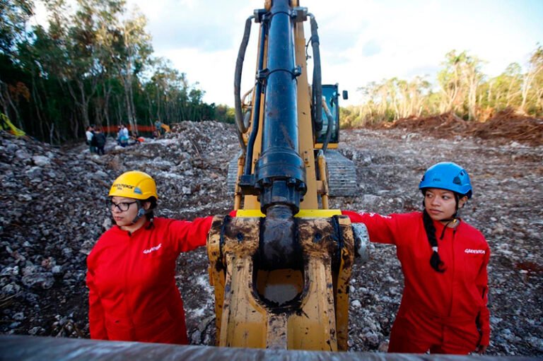 Greenpeace paraliza maquinaria en la obra del Tren Maya