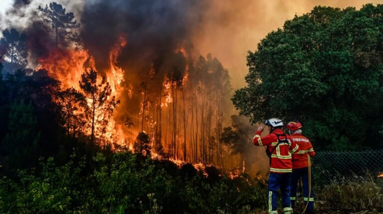 Apremia visión sustentable para atender la crisis ambiental