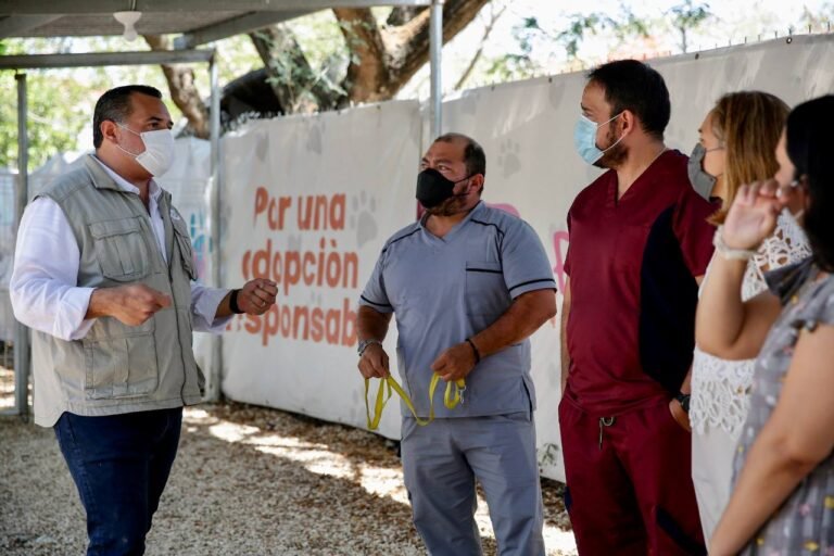 Ayuntamiento de Mérida fomenta el respeto, cuidado y la armonía hacia la fauna
