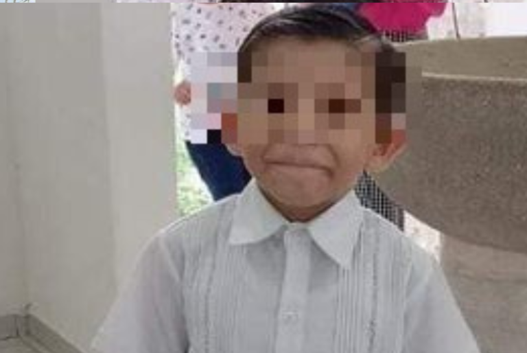 Niño de Mérida se debate entre la vida y la muerte por picadura de garrapata