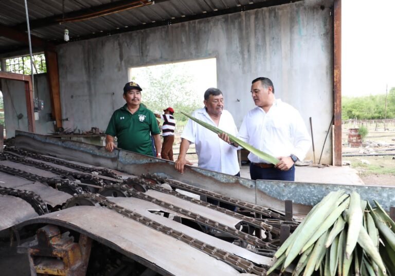 El henequén resurgirá; Renán Barrera 