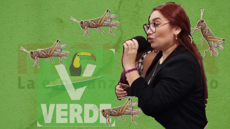 !CHAPULINA A LA INVERSA¡ Jazmín Villanueva Moo, hace lo que más odian los morenistas; ir de un partido a otro