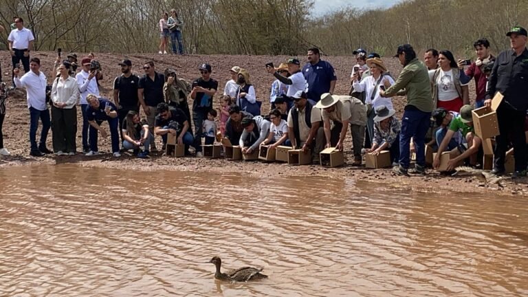 Exigen a Semarnat frenar hostigamientos en contra de los zoos, UMAs y centros de conservación