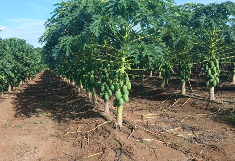 Conagua impulsa actualización de leyes hídricas en Yucatán para garantizar el derecho al agua