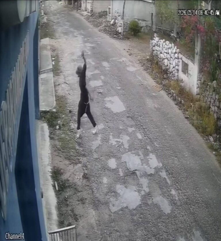 Capturan en Tizimín a sujeto apodado “El Grillo” por presunta actitud sospechosa