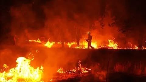 Incendio sin control en Francia obliga a nuevas evacuaciones; más de 220 mil personas han sido desplazadas