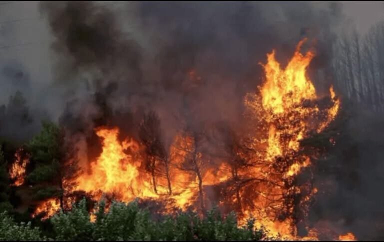 Avance de incendios forestales obliga a evacuar a miles de personas en Canadá