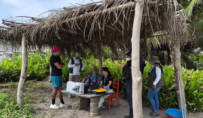 Profepa intensifica vigilancia en playas de Veracruz para proteger nidos de tortugas marinas