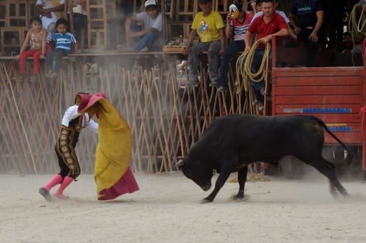 Activistas alistan marcha en Mérida para exigir el fin de las corridas de toros