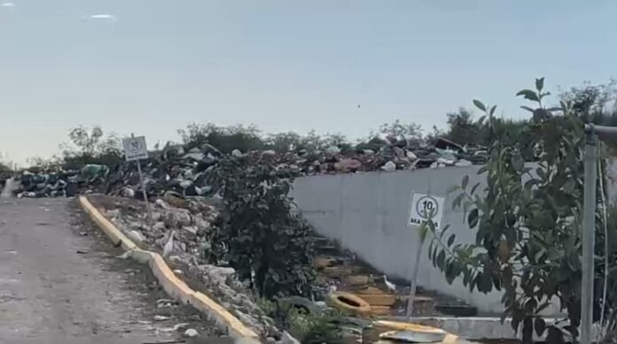 Imagen2