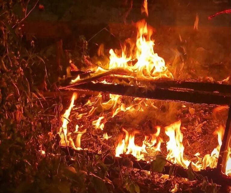 Cuatro menores enferman al mismo tiempo en Mérida; familia atribuye el caso a un supuesto trabajo de brujería