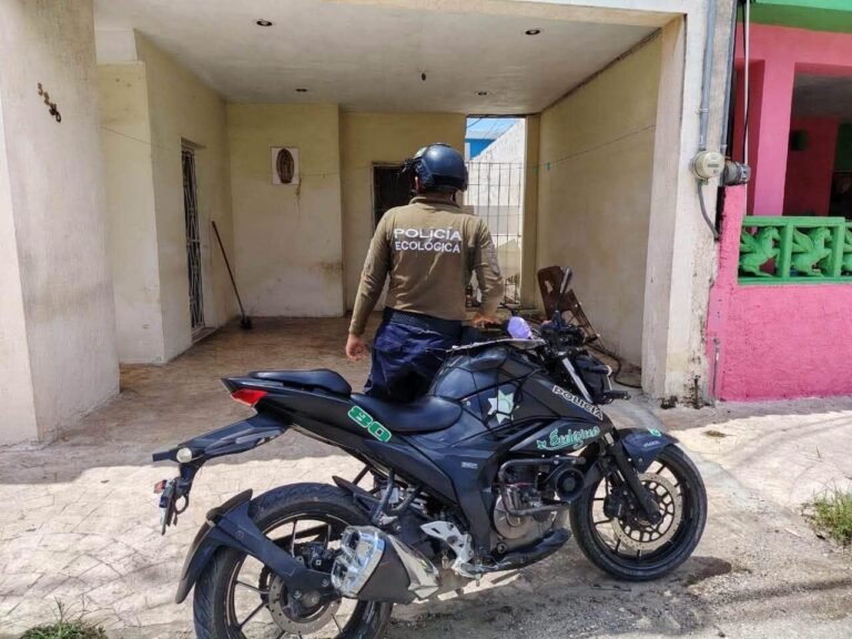 Policía Ecológica atiende denuncia por presunto maltrato animal en Kanasín