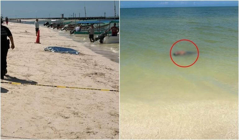 # Hallan sin vida a “Bolas” flotando cerca del muelle de Celestún