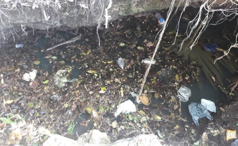 Detectan contaminación fecal en pozos y cenotes de Yucatán